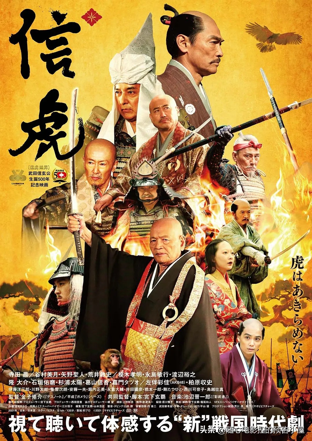 11月28日上线新片汇总,10月28日上线新片汇总