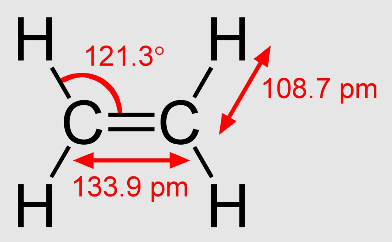 猕猴桃为什么称为水果之王,猕猴桃是不是水果之王