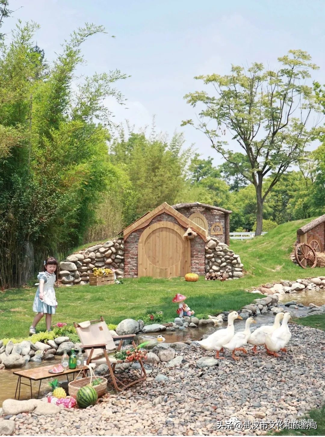 九月，秋风吹进武汉人的小院