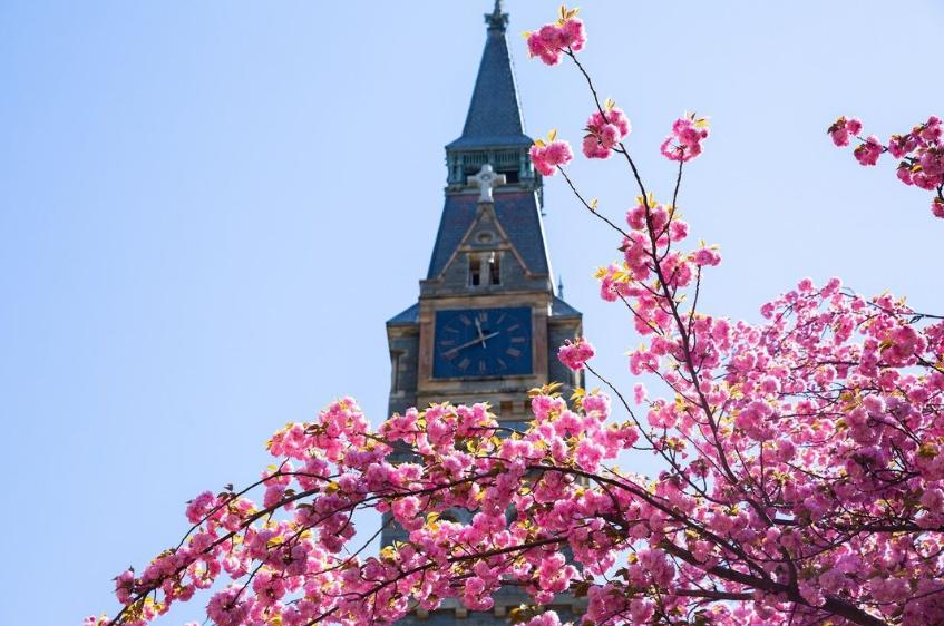 美国藤校第一的大学,美国藤校最多的学校