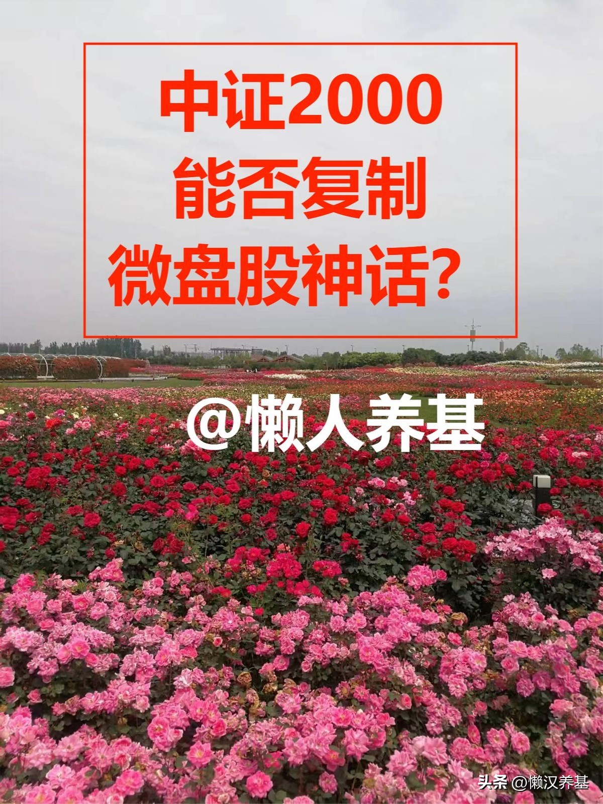 中证2000可以融券吗,中证2000后面还有小盘股吗