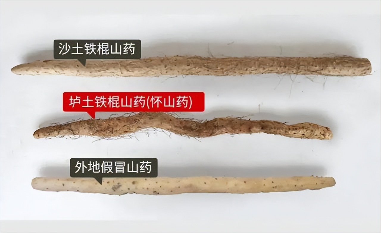 阳气生发养生方法,阳气生发最关键的一个月