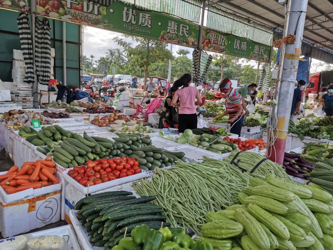万宁菜篮子蔬菜批发,万宁南林菜篮子配送中心