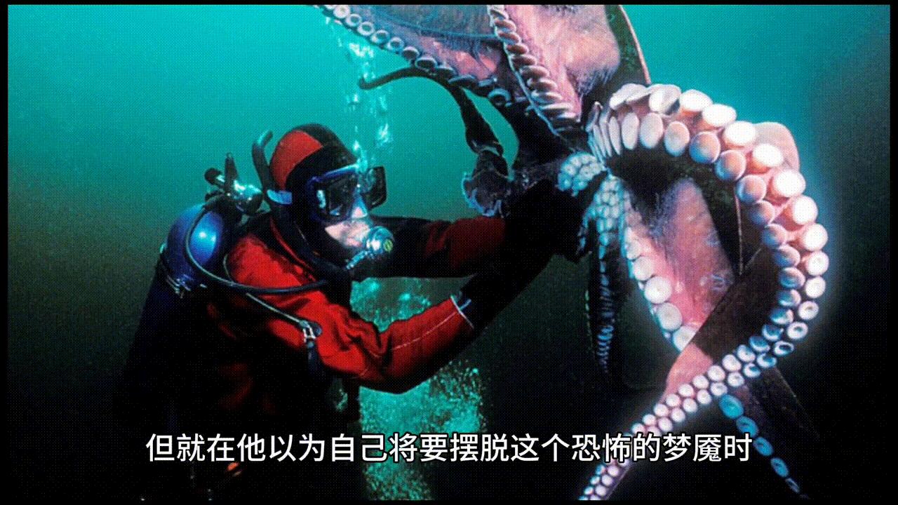 打卡机显示指纹已满怎么办,指纹打卡机不能正常打卡怎么办