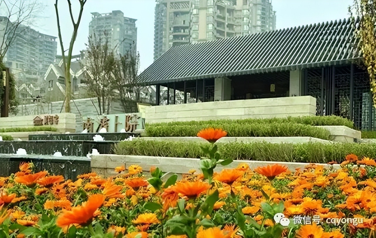 重庆美每家南滨上院几梯几户,重庆南滨上院值不值得投资