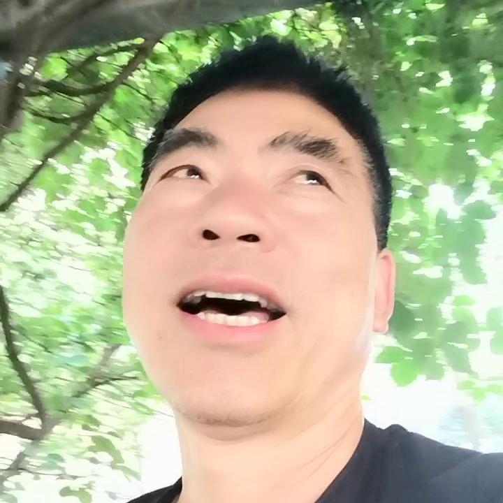 养车，我一心只想让大家用到真真正正的好油品——美国金佛...