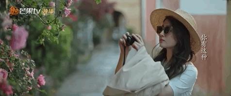 去有风的地方刘亦菲被说胖,去有风的地方刘亦菲忽胖忽瘦