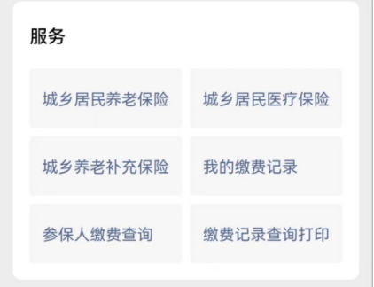 新农合2024年开始缴费了吗,2024年新农合缴费流程