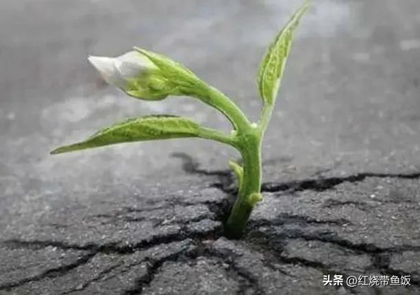 25岁背上人生的第一笔贷款,25岁背负房贷月供2500