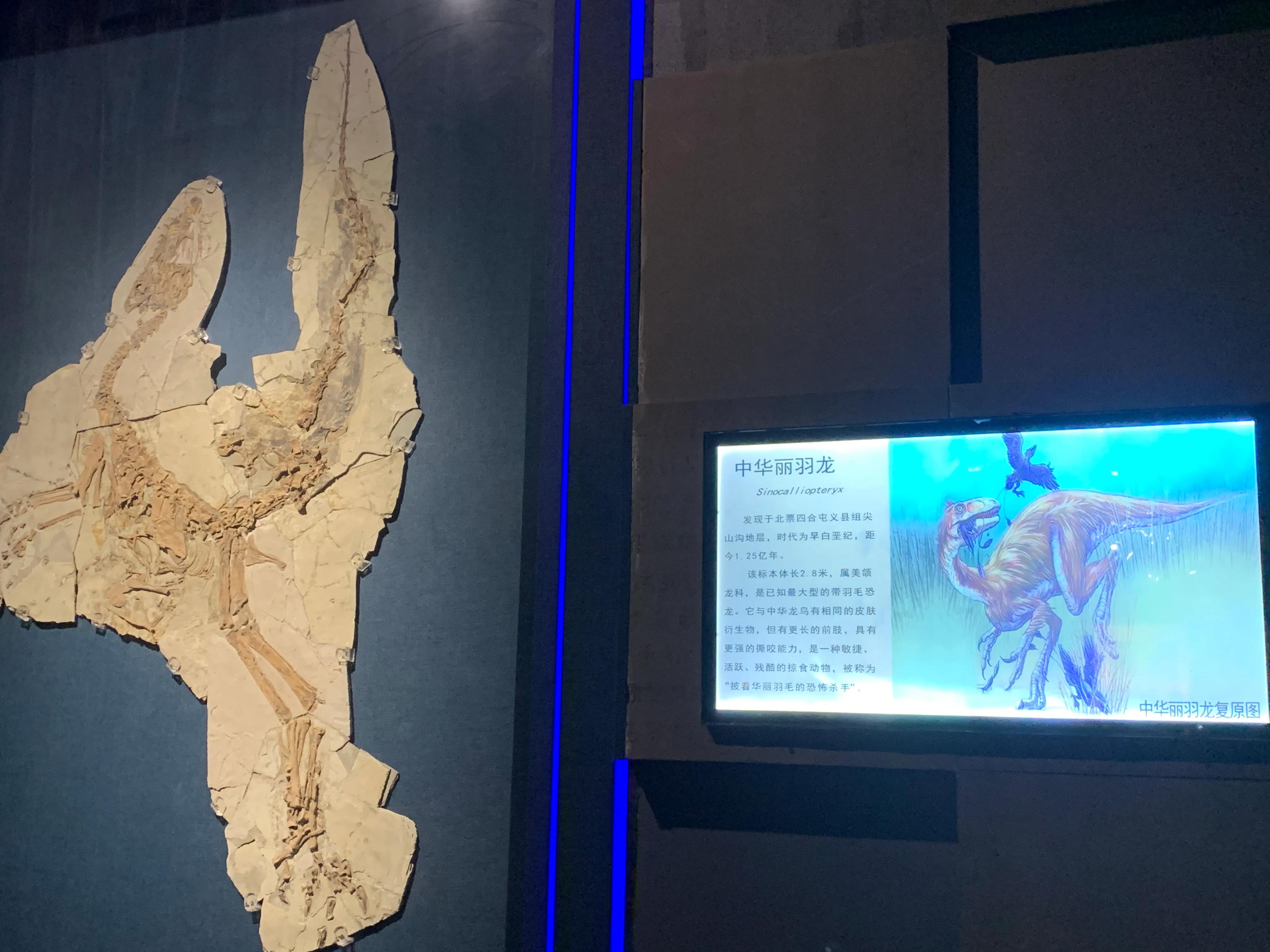 辽西自驾游一日游攻略,辽西自驾游一日游