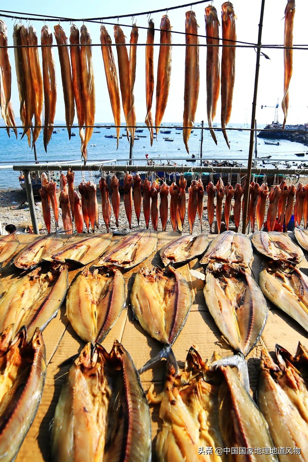 辽宁哪个地方的海鲜最好,辽宁各市都有啥海鲜