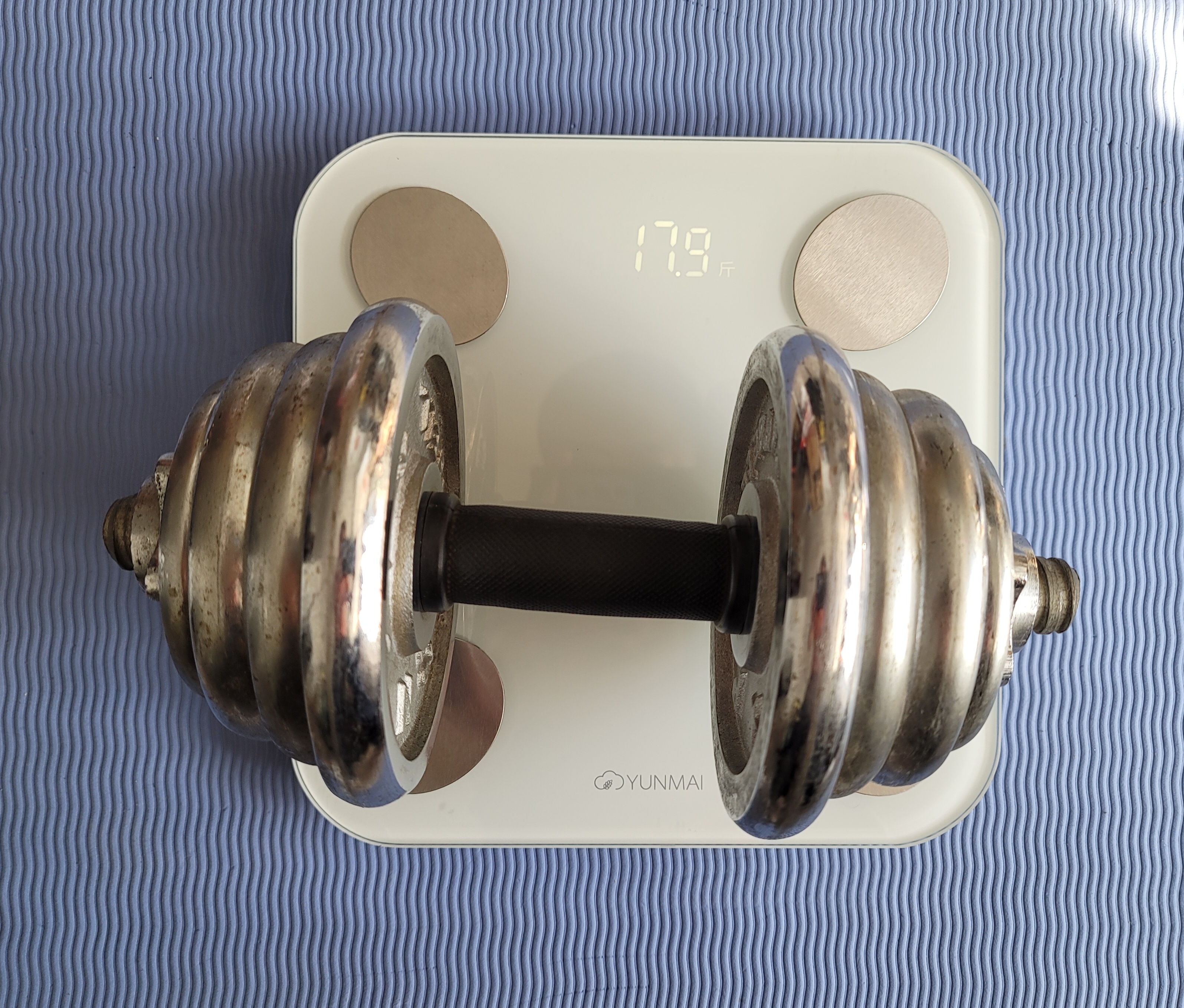 哑铃健身动作大全,健身装备分享哑铃