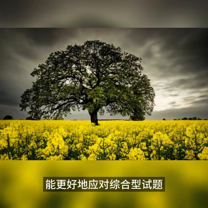 教育培训,教育培训最新政策