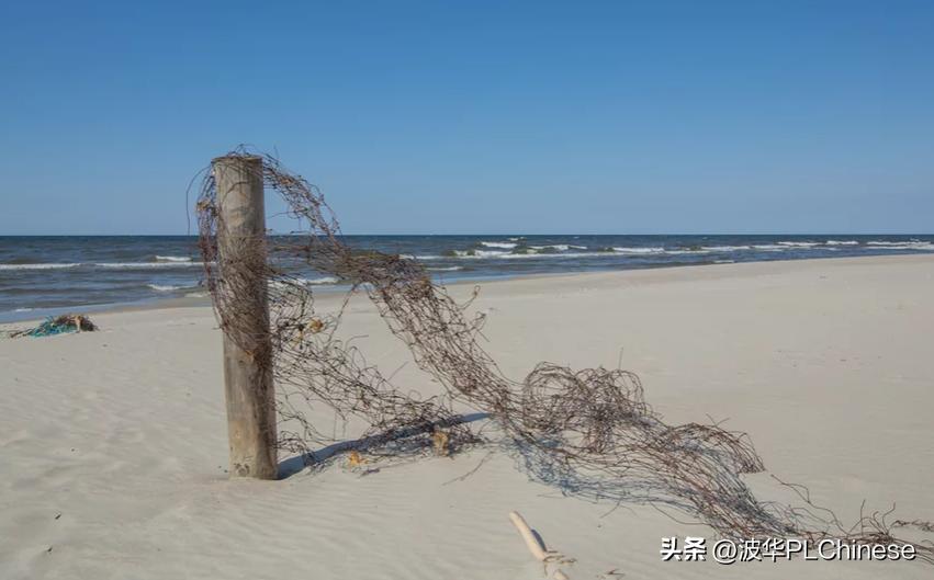 欧盟与波兰,欧盟跟波兰