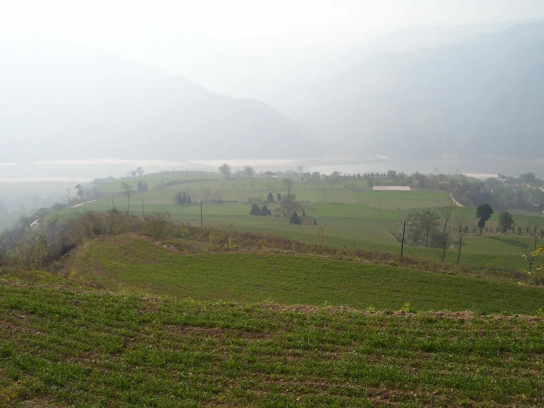 商代实用青铜圆鼎,三足圆鼎商代早期