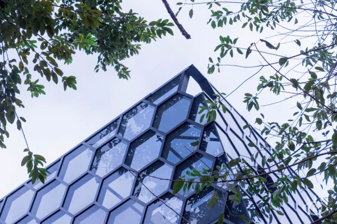 深圳4号线哪个站好玩,深圳1号线有哪些玩的地方