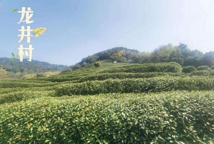 必玩十大景点杭州旅游攻略,杭州自助游攻略景点大全