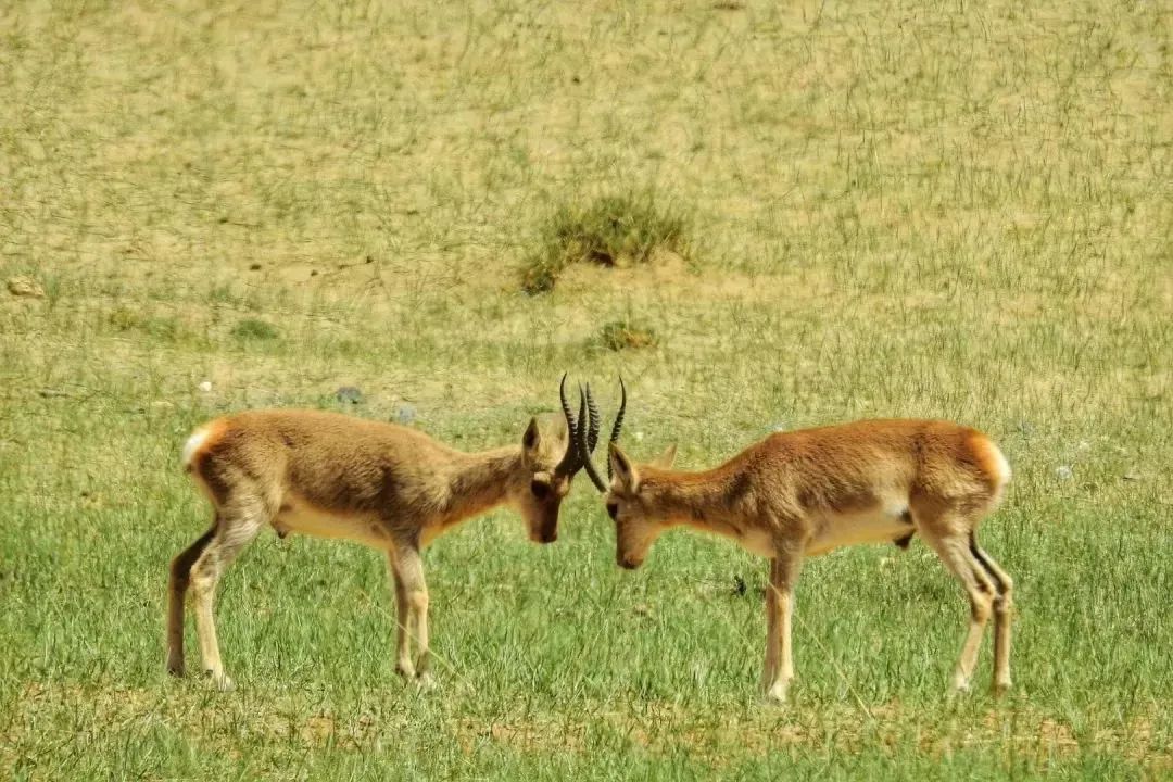 暑假游玩5天推荐的好地方,暑假值得去的旅游地点