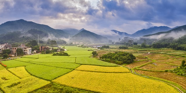 2018年对农村三条政策,农村今年的3大政策