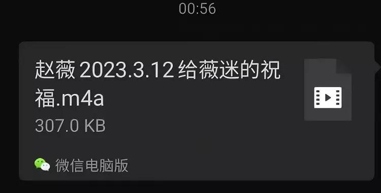 赵薇发福变胖后又满面油光出镜,赵薇近况发福图片
