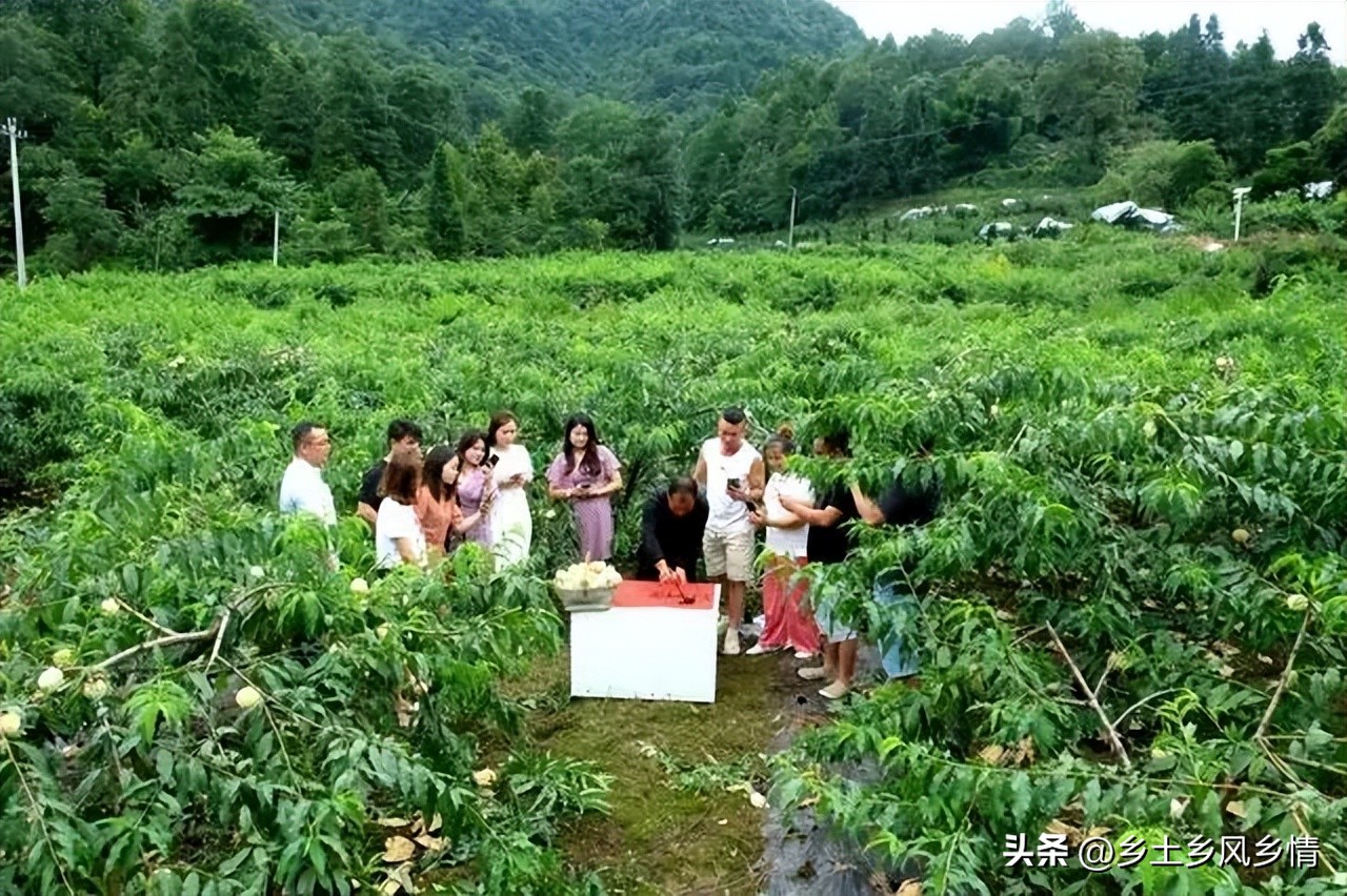 回农村创业新方法有哪些,创业失败想回农村创业