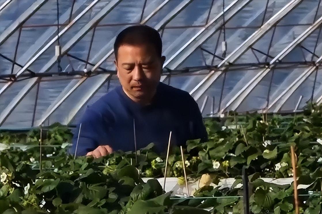 大叔研究彩票十年,大叔盲盒