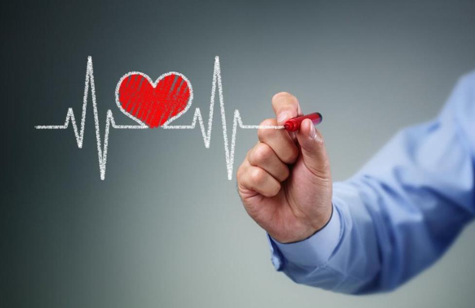 心率越慢寿命越长是真的吗,心率快与心率慢对人的寿命影响