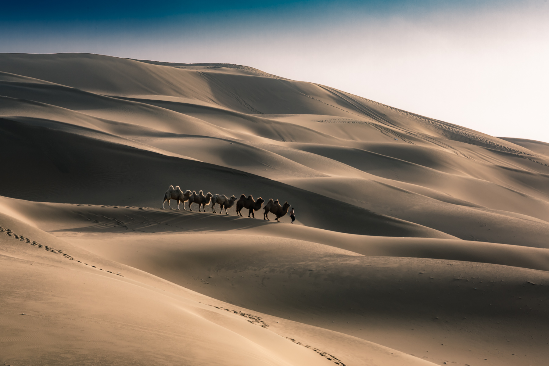 什么是raw格式和jpg格式,什么是raw格式拍摄