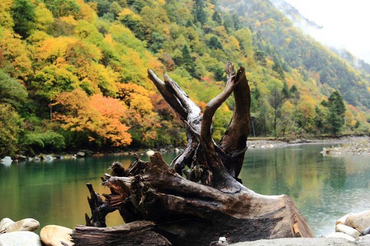 旅游到四川攻略,四川5日游详细攻略