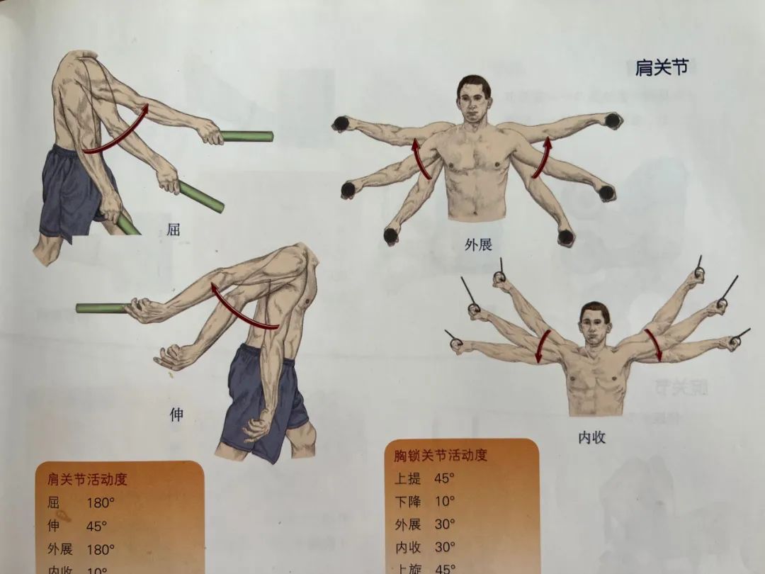 内旋发力的训练方法,羽毛球如何内旋发力