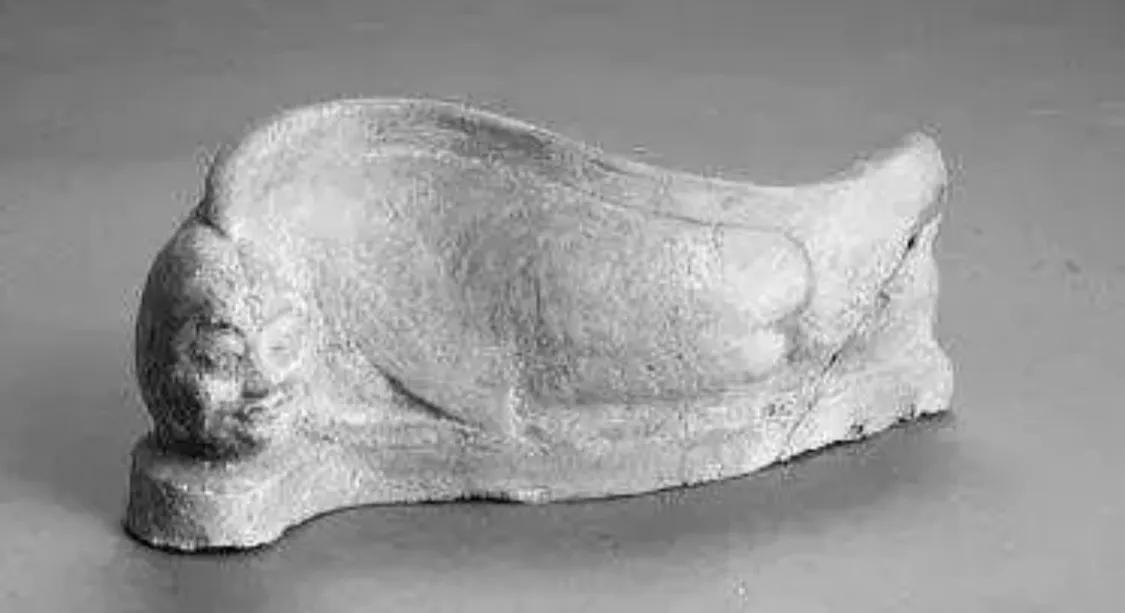 未知世界的娇子—鲛人