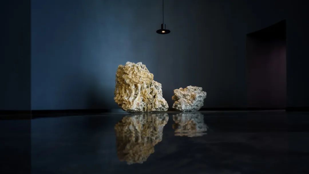 顾中飞：大商盯上“小而美”简舍，是因为我们能补其短板