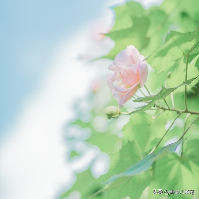 朋友圈超皮关于考试句子,朋友圈超皮文案2.0