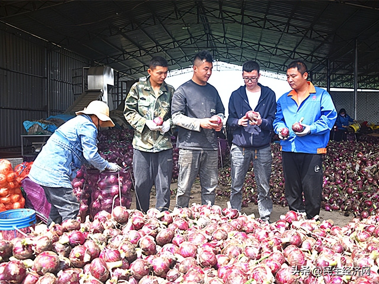 带动农民脱贫致富实现乡村振兴,党旗引领乡村振兴带动农民工就业