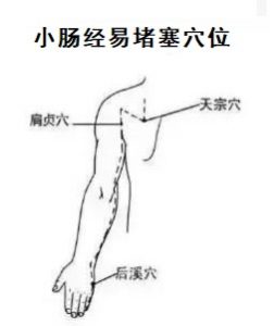 十二经络足阳明胃经穴位走向,胃部经络最易堵塞三个穴位