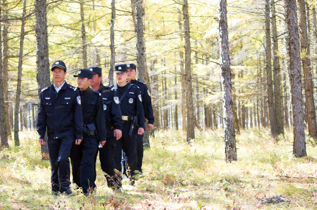 警察蓝生态绿,警察蓝守护安全