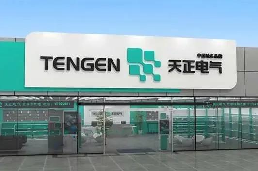 天正集团是什么企业,天正集团投资有限公司