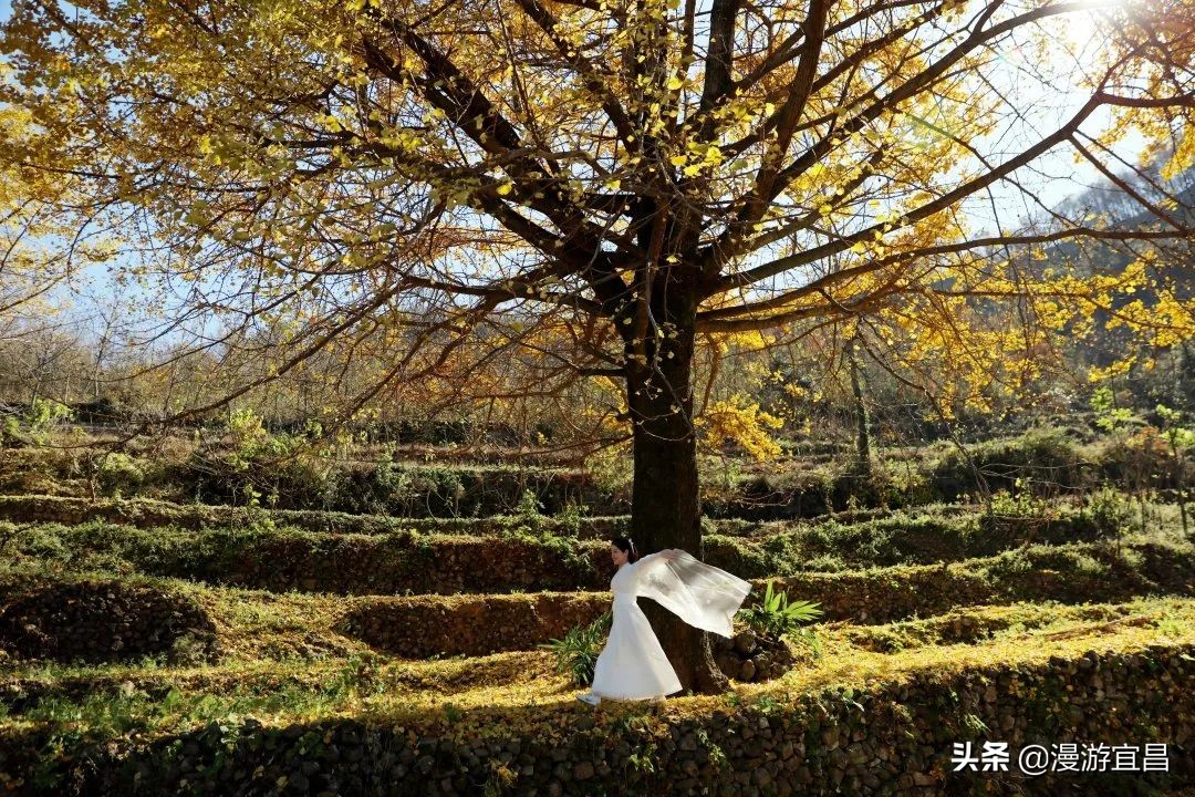 宜昌三峡最美公路景点,宜昌旅游攻略必去的景点百里荒