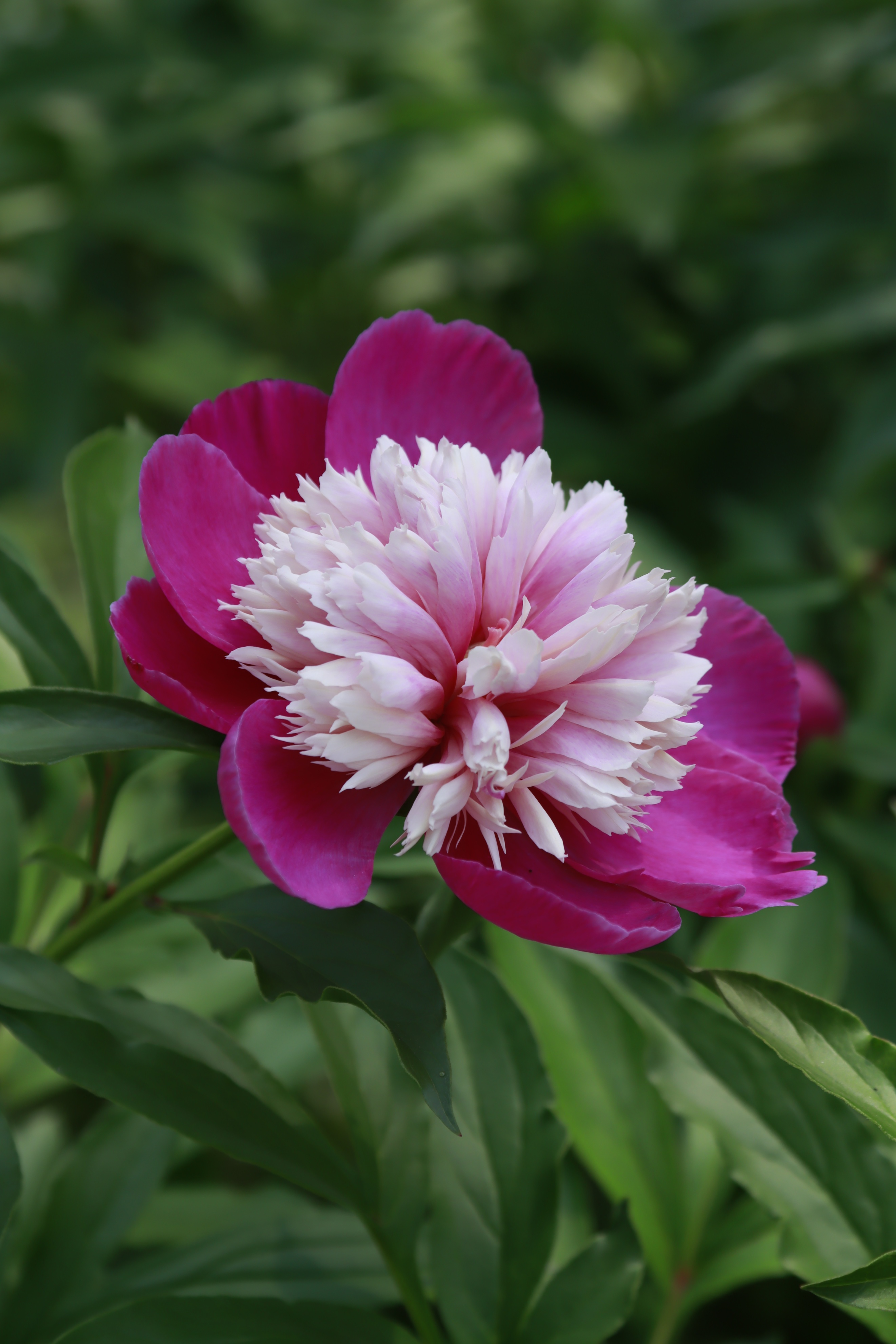 “以我为主”地忽略“事”的经过——浅尝辄止、先喜后忧的根源