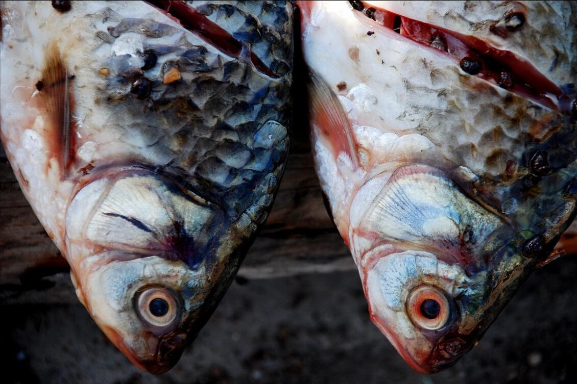 腌腊鱼怎么去腥味,腌腊鱼怎么腌