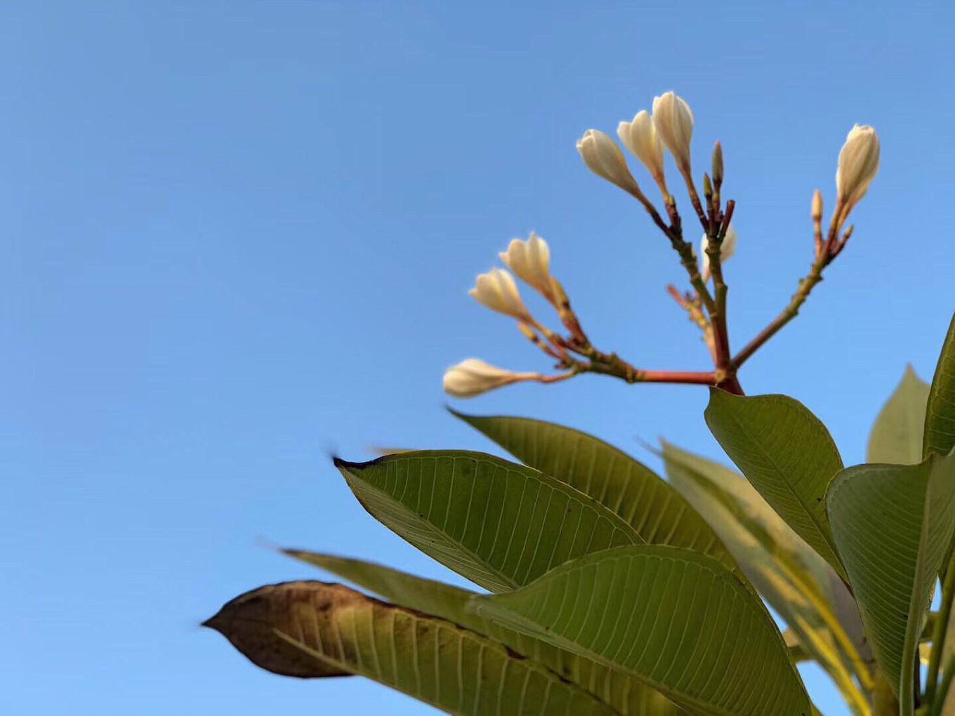 四天三晚北海涠洲岛旅游攻略,北海攻略涠洲岛攻略