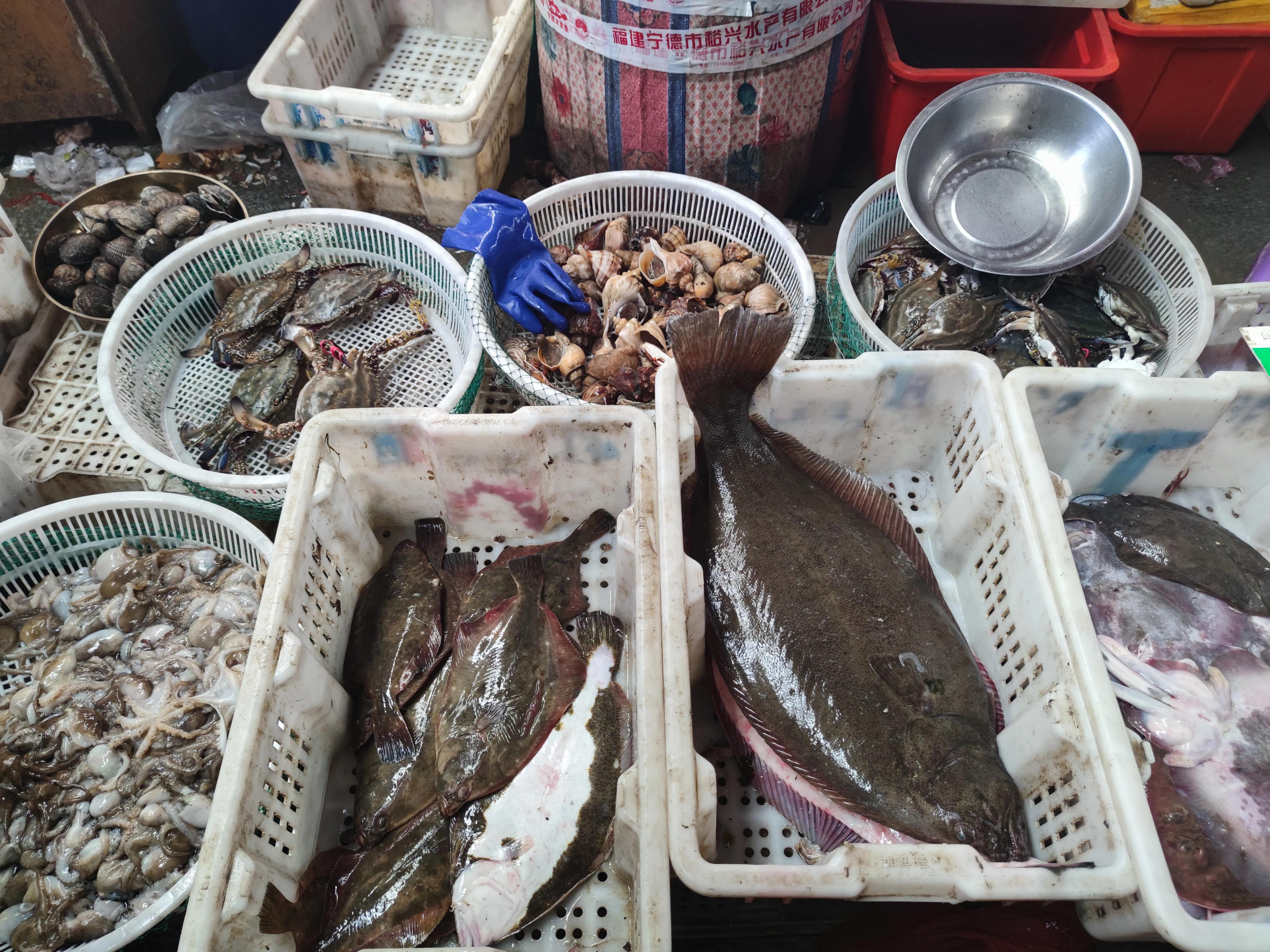 海鱼怎么炖好喝,海鱼怎么炖最好吃