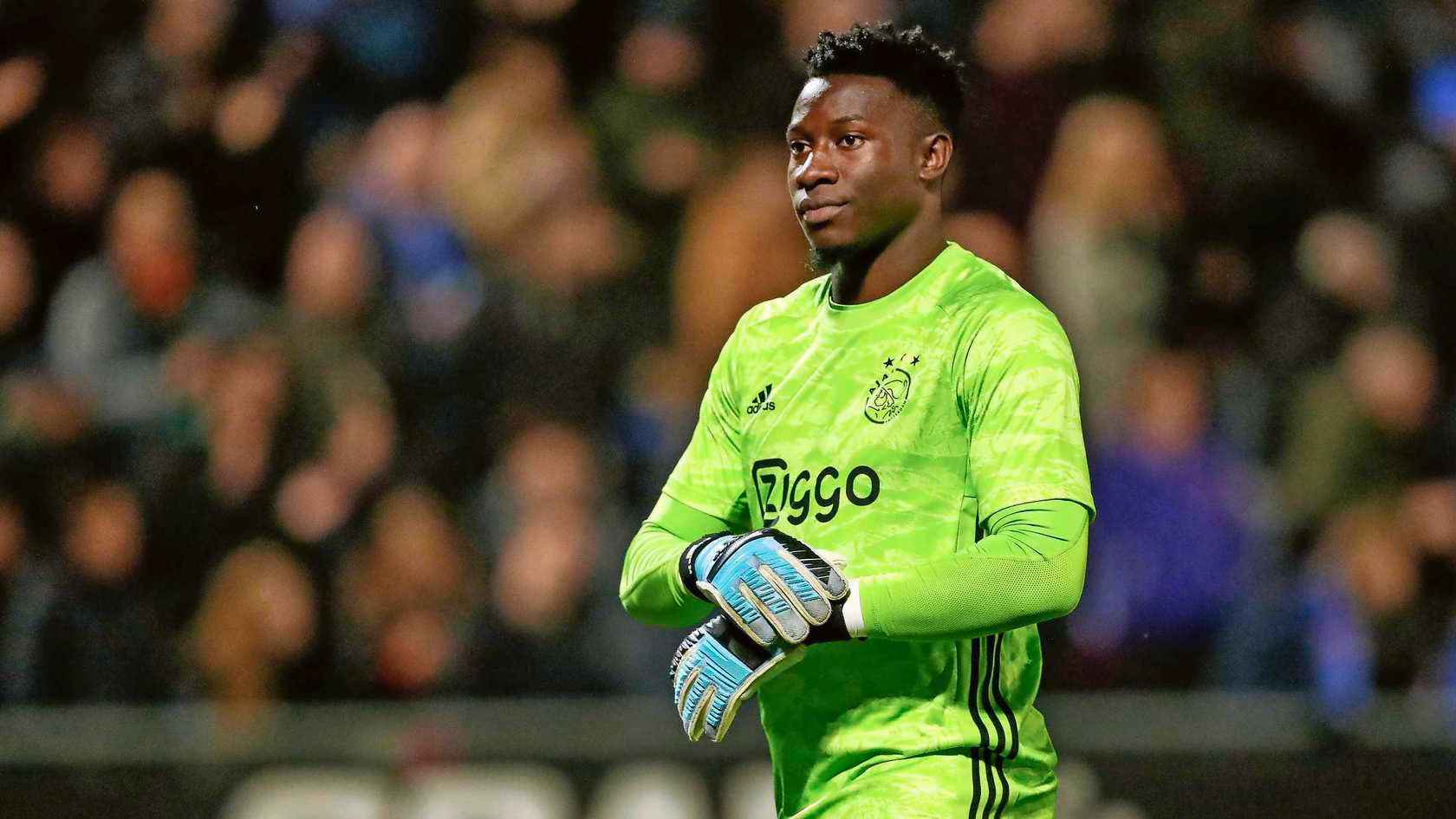 第22届卡塔尔世界杯决赛圈球队巡礼之“非洲雄狮”喀麦隆队