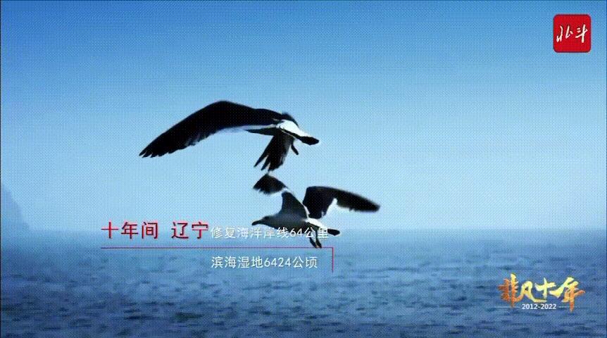 中央一套今日新闻最新消息,中央新闻今日关注回放