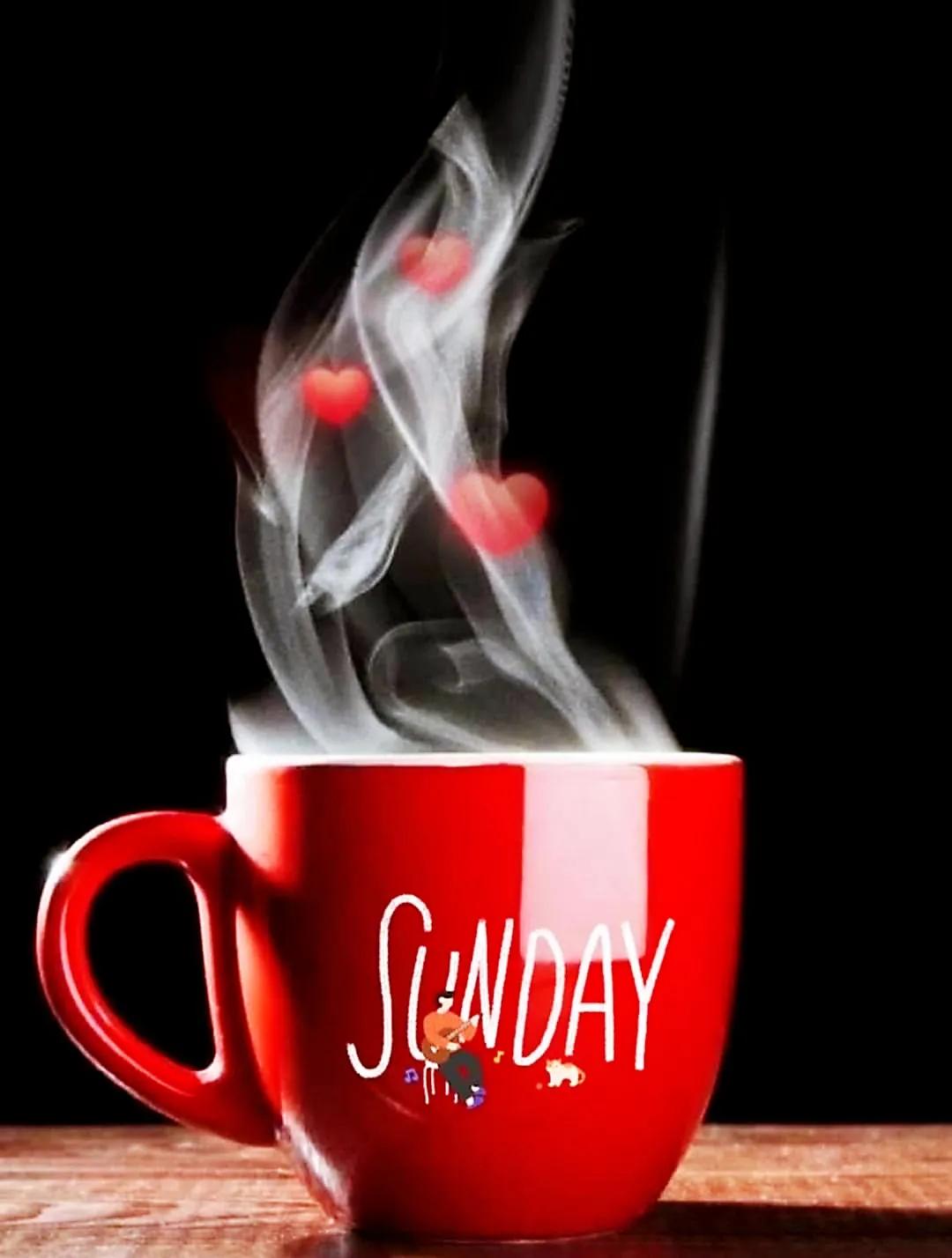 鲜花永远是女人的最爱,鲜花打动女人心