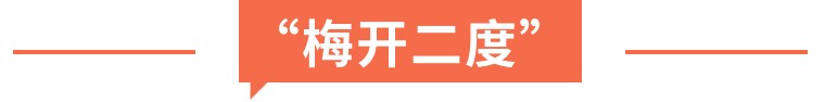 梅开二度是什么网络用语,梅开二度足球术语