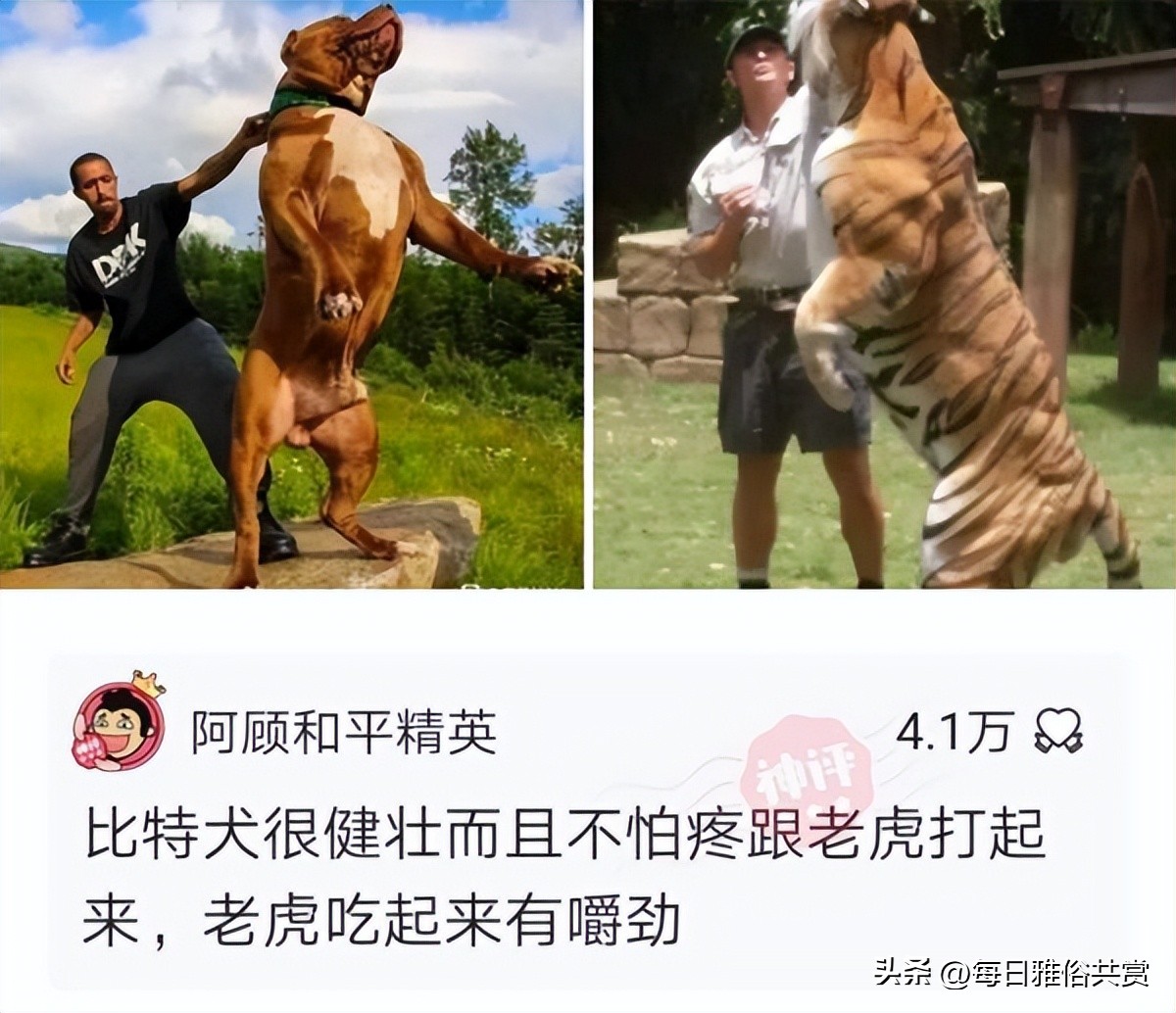 盐选神回复,盘点那些“盐选神回复”