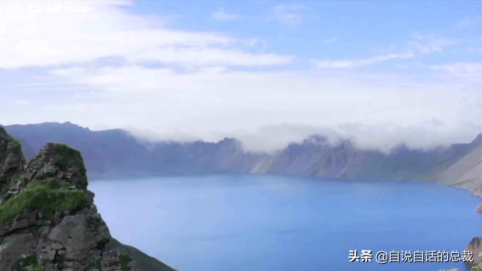 国内的假三文鱼是什么鱼,哪种才是真正的三文鱼