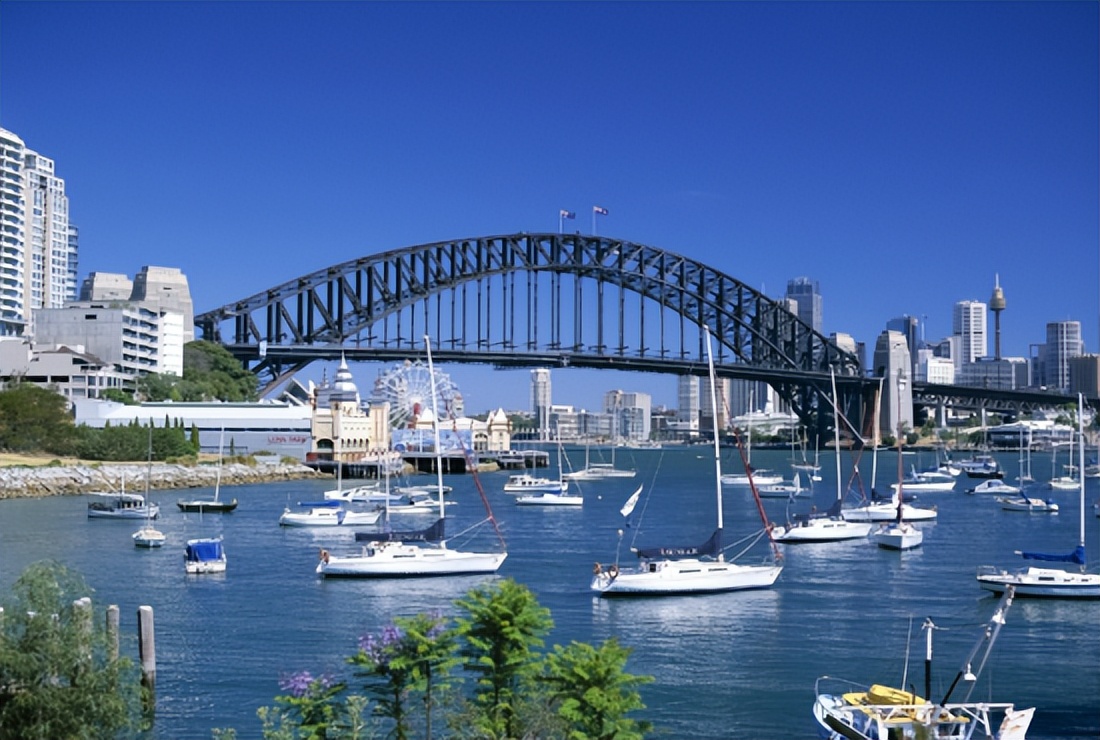 澳洲gti项目官方历年数据解析,澳洲gti需要什么条件