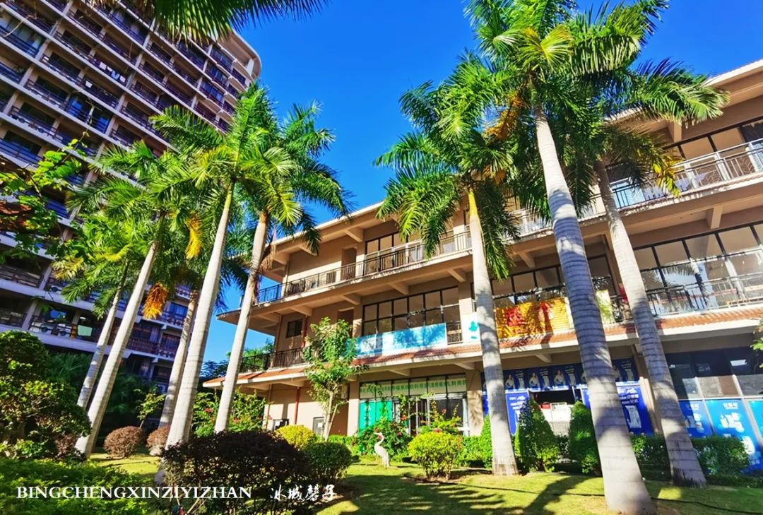 旅居海南：九所新区的浪漫情